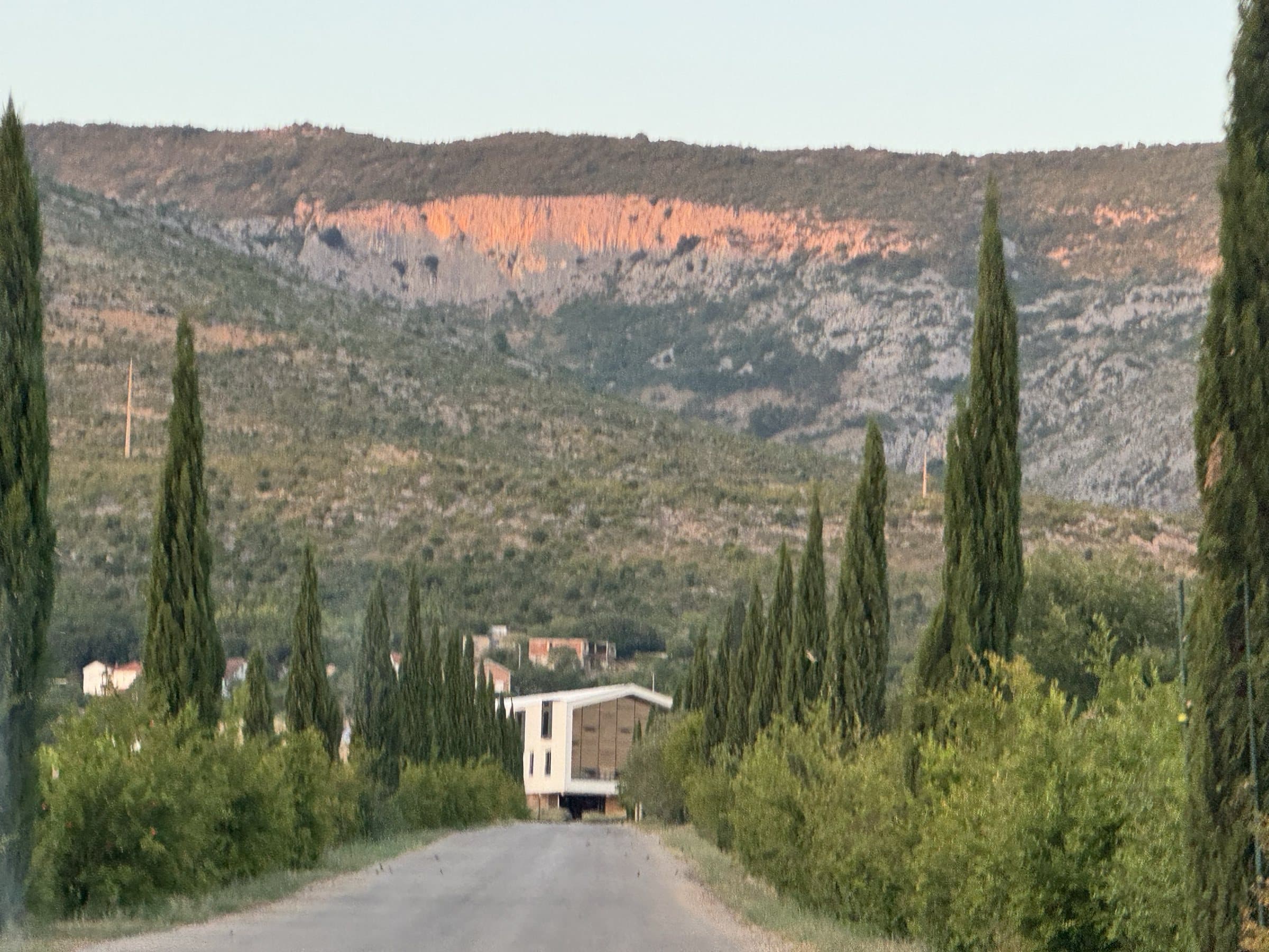 A cypress-lined road running toward limestone hills in the dry Herzegovinian light