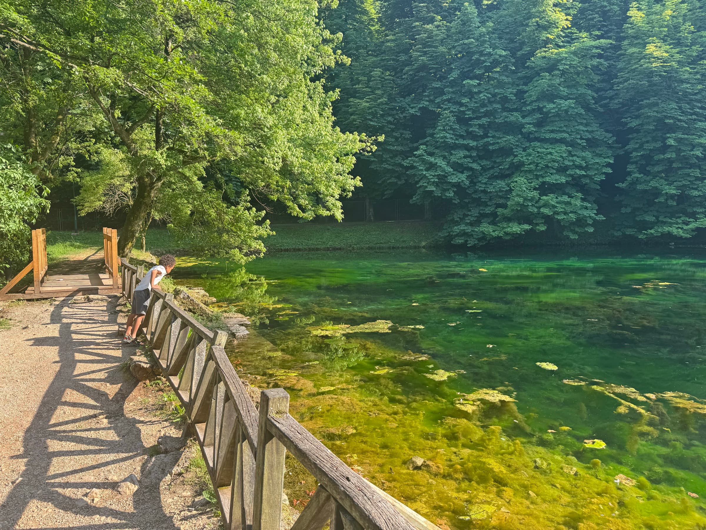 A child leans over a wooden footbridge rail above clear green spring water at Vrelo Bosne, the forest behind